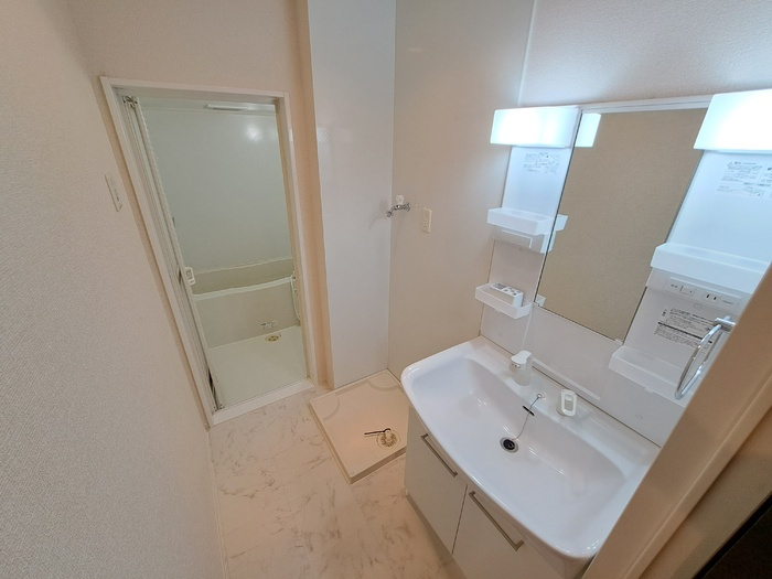 レクスト赤坂の洗面所