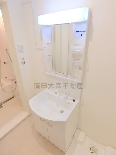 イリス糀谷の洗面所