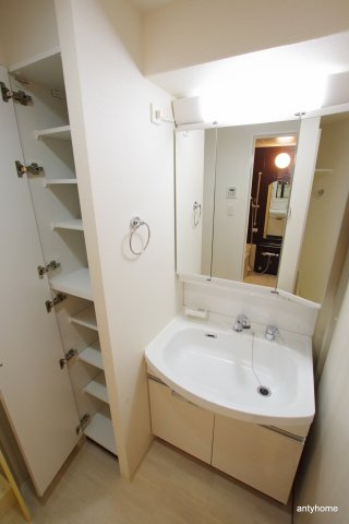 ディームス江坂　仲介手数料無料の洗面所
