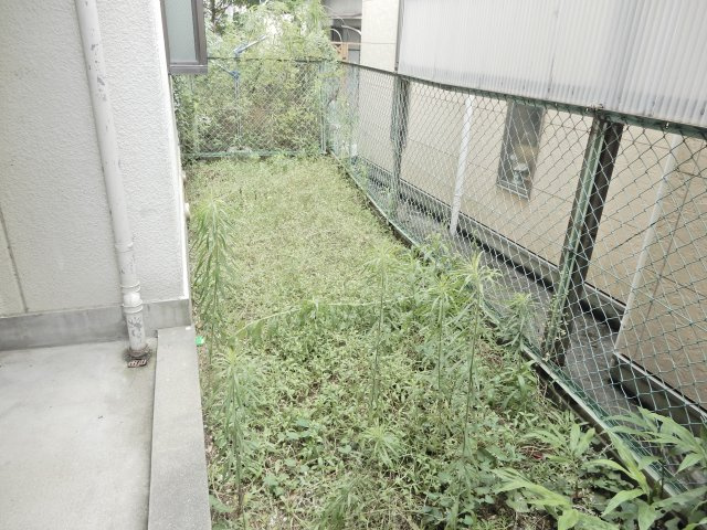 ヴィクトリアコート登町のバルコニー