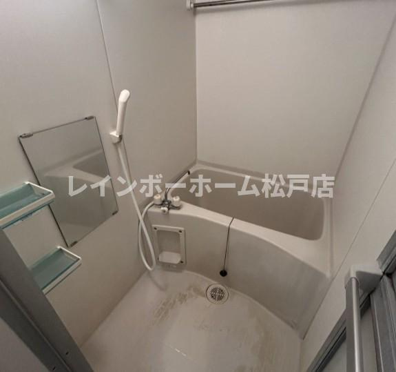 特典：仲介手数料が半額です!!の浴室