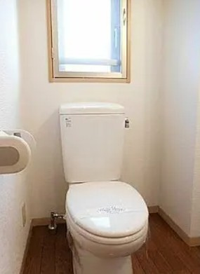 さいたま市浦和区領家６丁目の賃貸マンションのトイレ