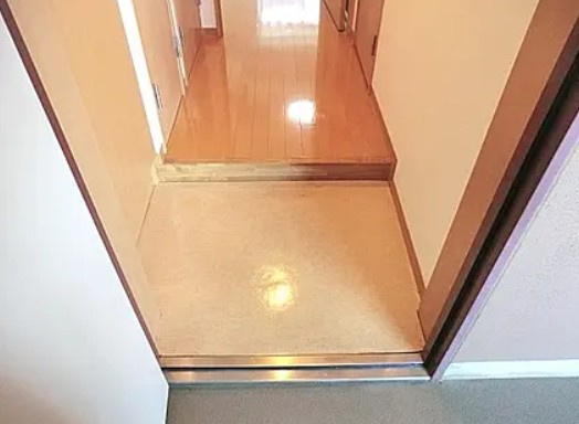 さいたま市浦和区領家６丁目の賃貸マンションの玄関