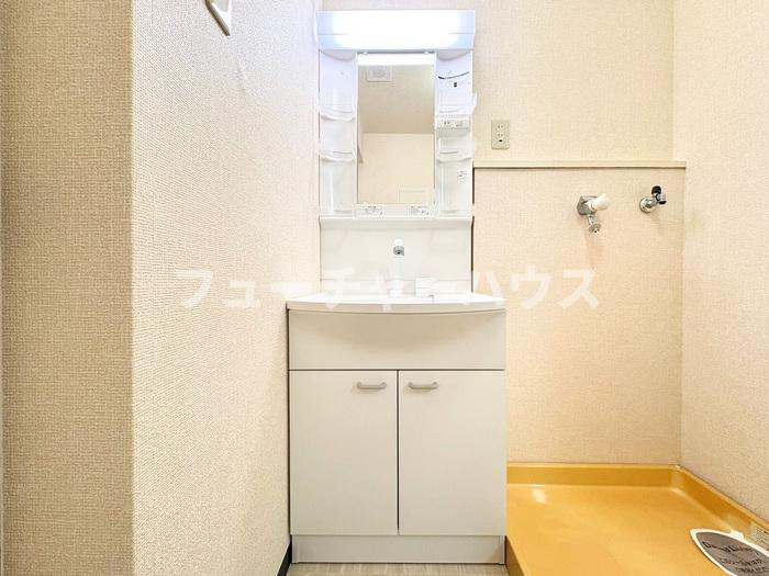 ルミエール南都の洗面所