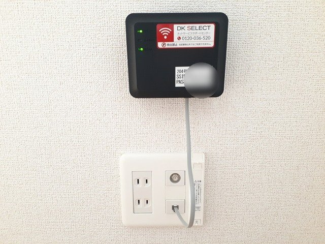 エシャロットの設備