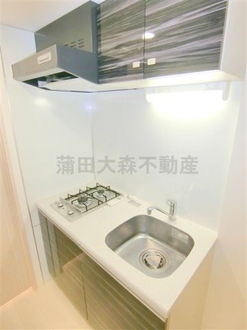 ブライズ蒲田WESTのキッチン|2口ガスシステムキッチン　