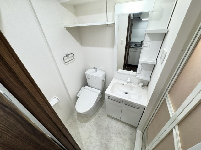 ヒルズ八尾本町の洗面所
