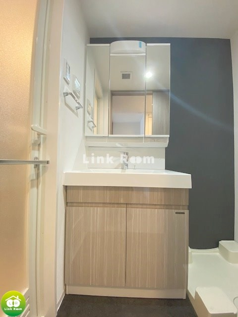 S-RESIDENCE両国avenueの洗面所