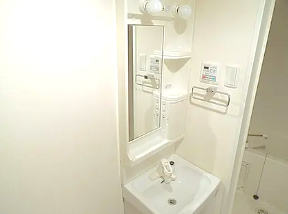 北区赤羽台３丁目の賃貸マンションの洗面所