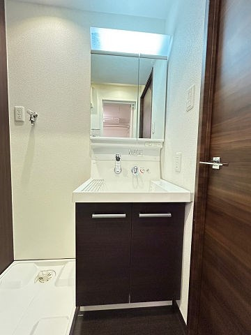 エクセルコート昭和南通プライムレジデンスの洗面所