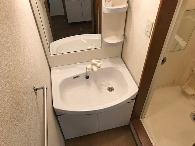 リバーサイド金岡Ⅲ番館の洗面所