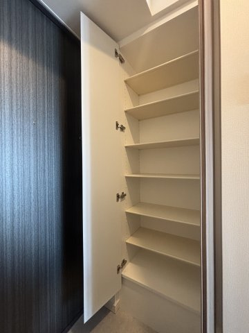 エヌステージジェイアール新白岡駅前の収納|たっぷりとした収納スペースです