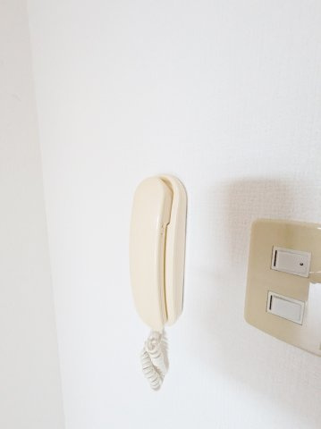 グリーンゼファーのセキュリティ