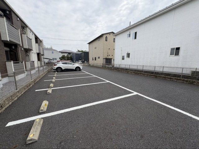 ミランダミルティユのその他