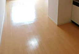 アトラスカーロ壱番館の居間・リビング