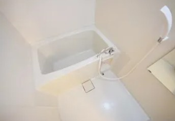 ローゼンハイムの浴室