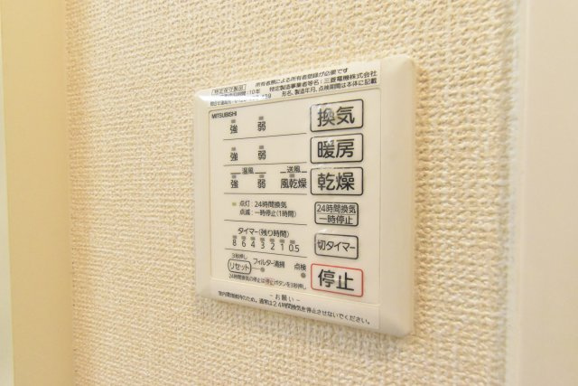 Grace irisのその他