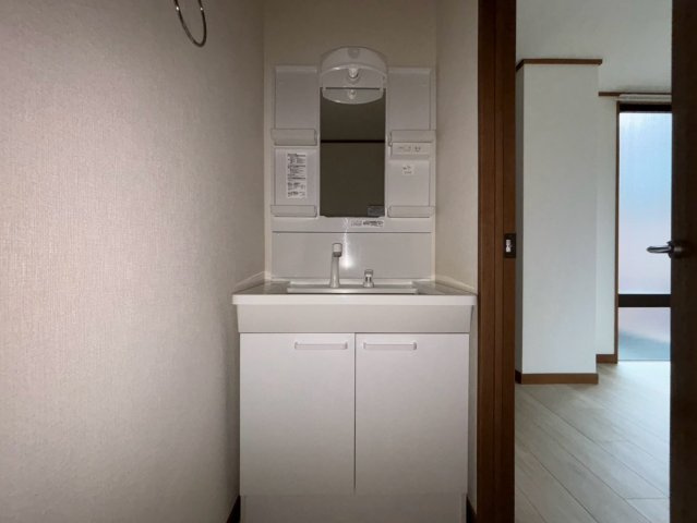ドメス稲田堤ビルの洗面所