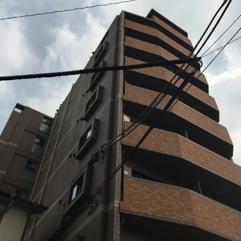 トーシンフェニックス松濤の画像