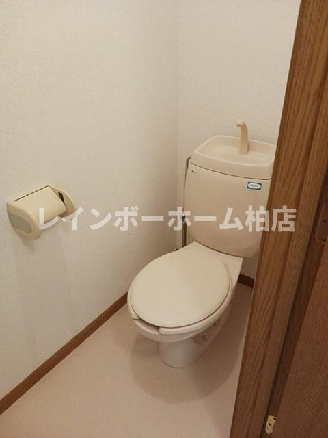 特典：仲介手数料が50％OFFです‼のトイレ