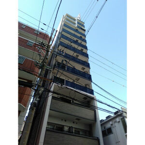 TAT LYON TIMBER TOWNの外観