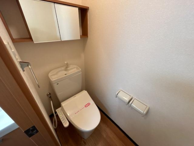 グリーン・ビレッジⅡのトイレ|シャワー付トイレ