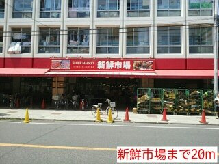 メイフェア　ベルの周辺|新鮮市場まで20m