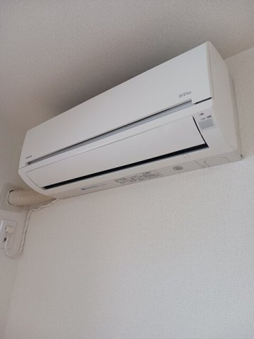 アルバのその他