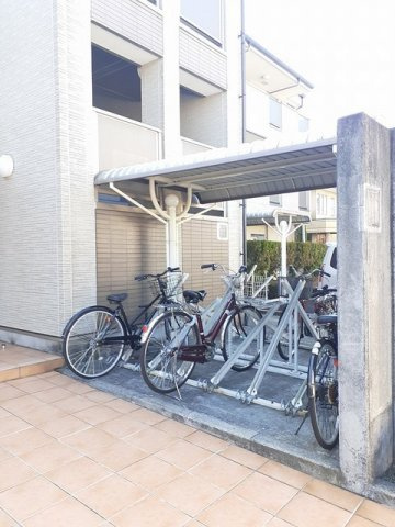 パセーオセレッソのその他