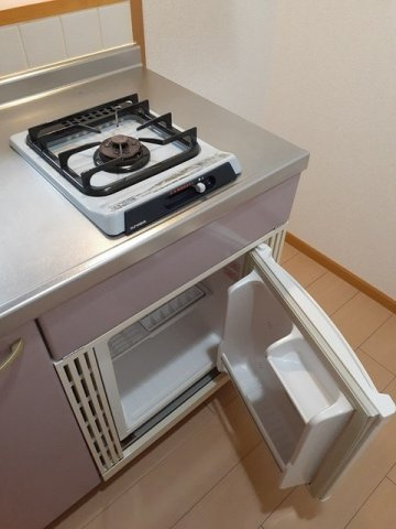 スカイルシパーのその他