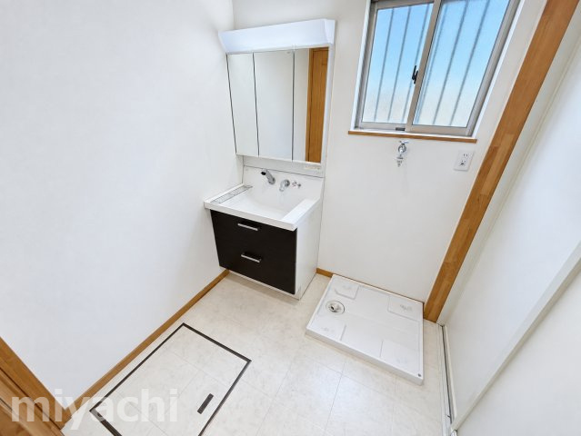 藍住町奥野戸建1の洗面所