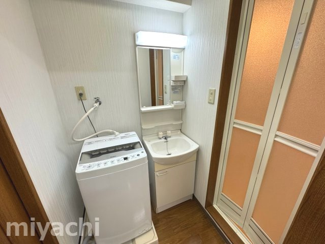 徳島市川内町榎瀬の賃貸マンションの洗面所
