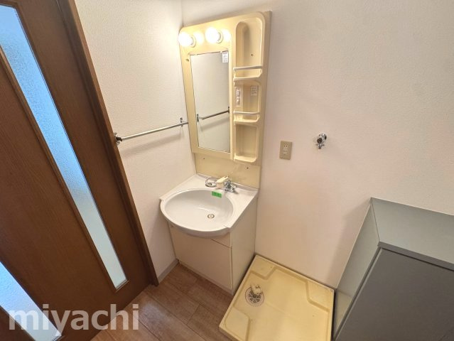 徳島市川内町榎瀬の賃貸マンションの洗面所