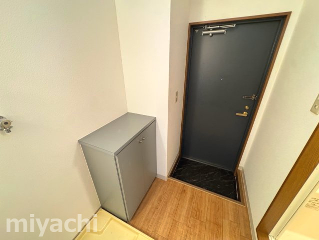 徳島市川内町榎瀬の賃貸マンションの玄関