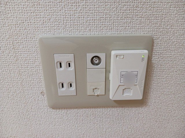 サニー・プレイスのその他