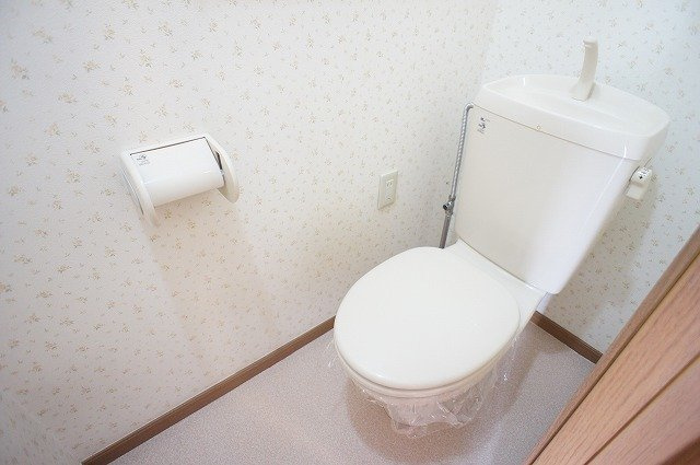 フォンテーヌⅡのトイレ|清潔感のあるトイレです