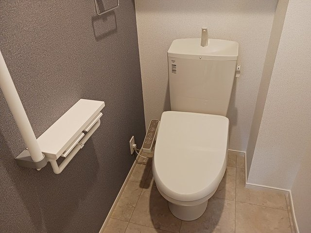 キャサブランカⅤのトイレ|落ち着いた色調のトイレです