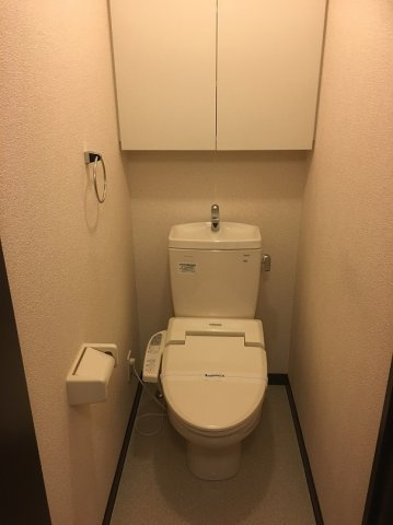 レオネクストヴァルトライゼⅡのその他
