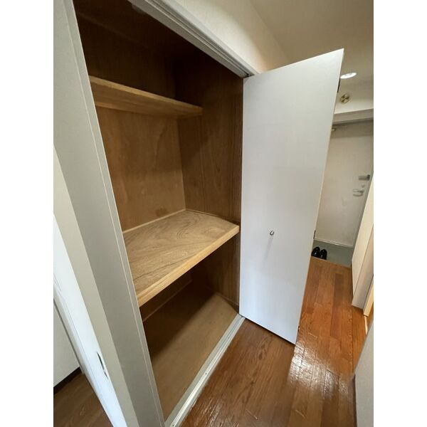 福岡市南区大楠２丁目の賃貸マンションの収納