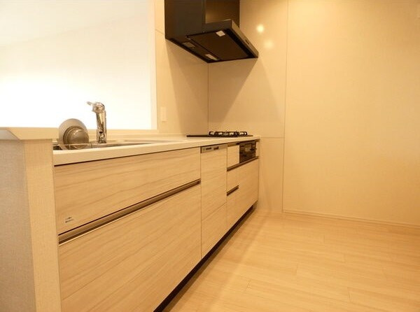 パークホームズＬａＬａ名古屋みなとアクルスＧＳのキッチン