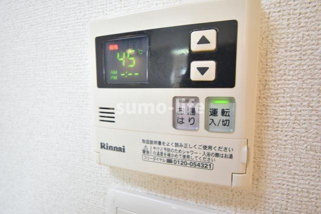 ベクエムハウゼのその他