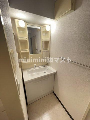 グランディール阪南町の洗面所