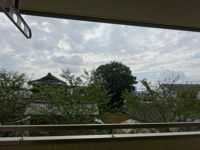 ヘーベル ティーア Ａの展望