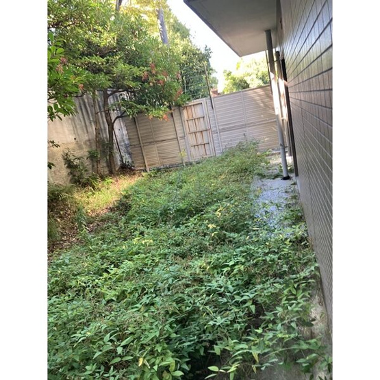 【庭】 | カスティーリョ南山