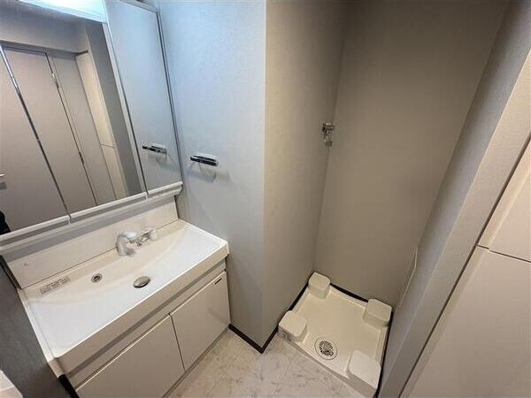 S-RESIDENCE千種belvia TOWER(べルヴィアタワー)の洗面所