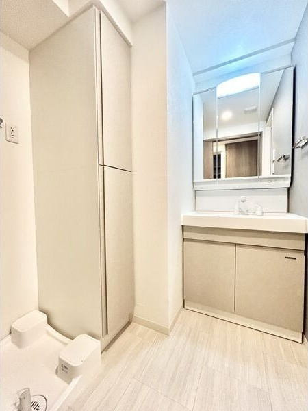 S-RESIDENCE千種belvia TOWER(べルヴィアタワー)の洗面所