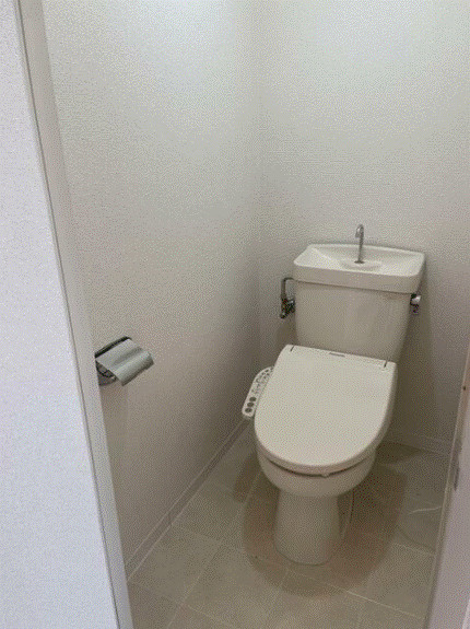 シャトレ新町のトイレ|落ち着いた色調のトイレです