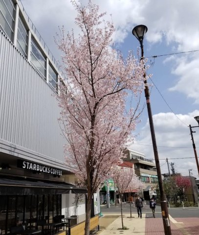 小金井市東町４丁目の店舗事務所の周辺