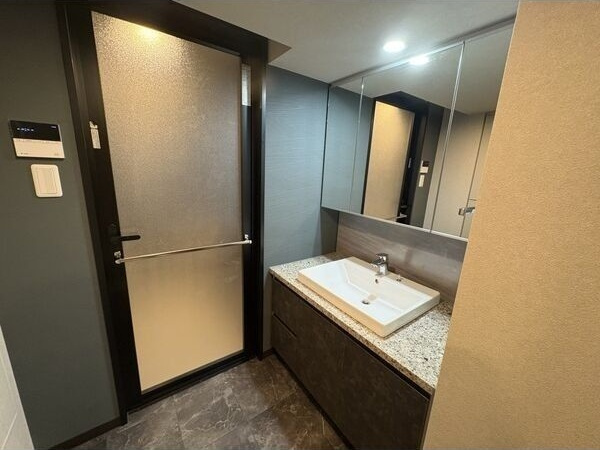 S-RESIDENCE千種belvia TOWER(べルヴィアタワー)の洗面所