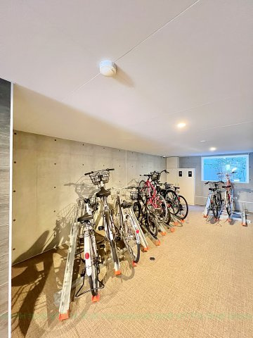quador車道のその他
